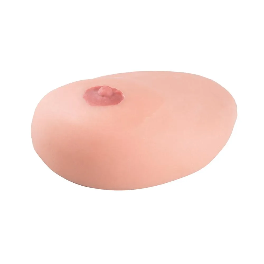 SONOtrain™ Breast model with cysts
