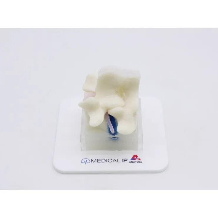 Spine Surgery Simulator For Surgical Training, Basic