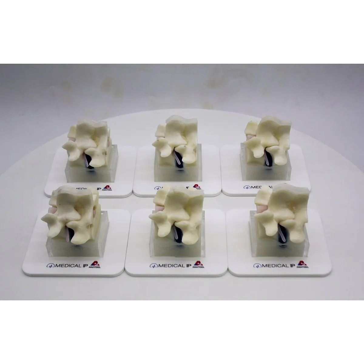 Spine Surgery Simulator For Surgical Training, Basic