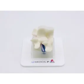 Spine Surgery Simulator For Surgical Training, Basic