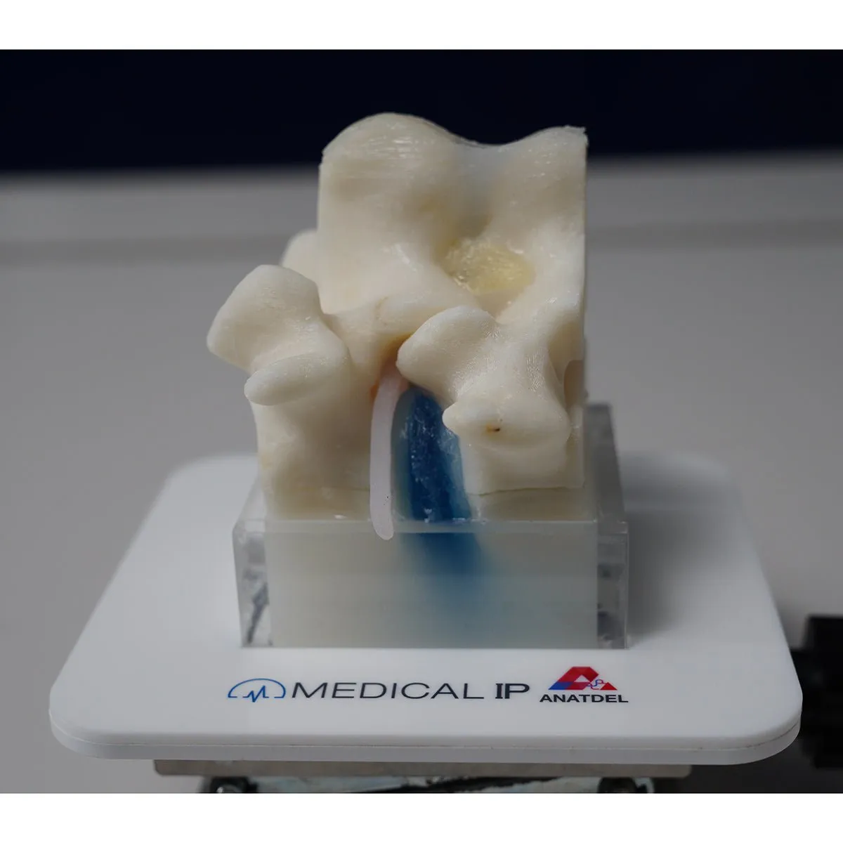 Spine Surgery Simulator For Surgical Training, Basic