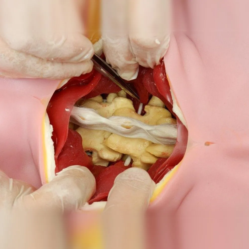 Spine Surgery Trainer Simulator