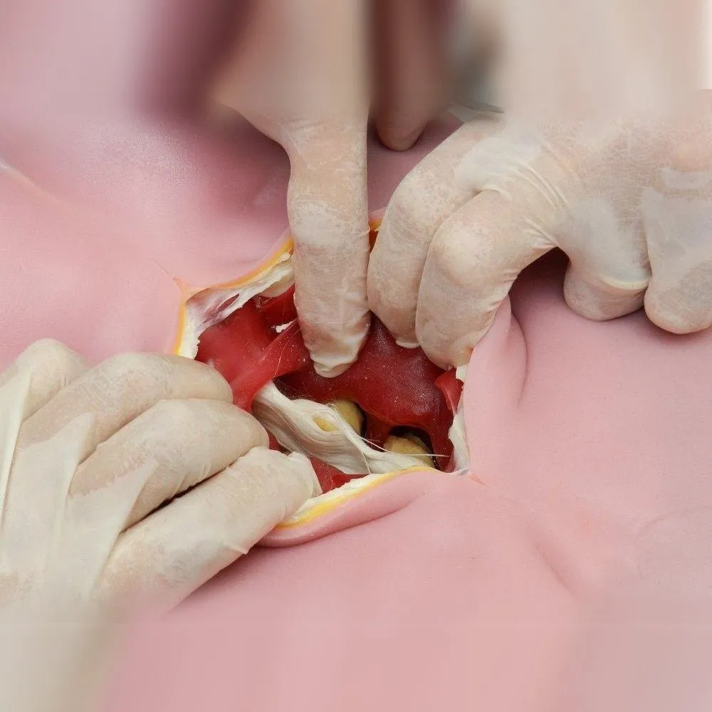 Spine Surgery Trainer Simulator