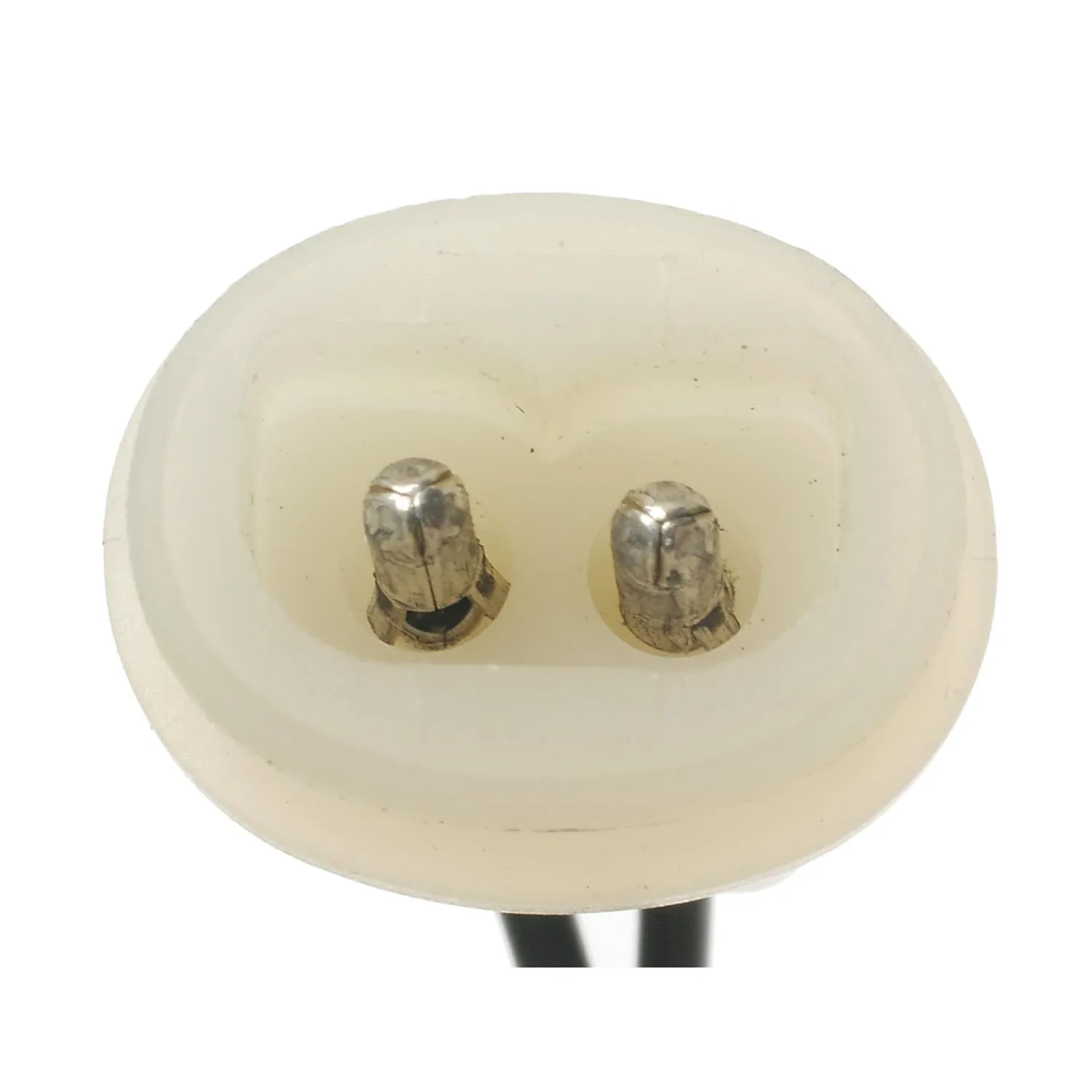 Standard Ignition Engine Coolant Temperature Sensor