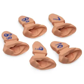 Supplementary Set of Ear Examination for Advanced Training