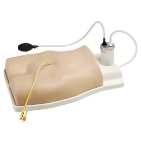 Suprapubic Catheterization Training Model
