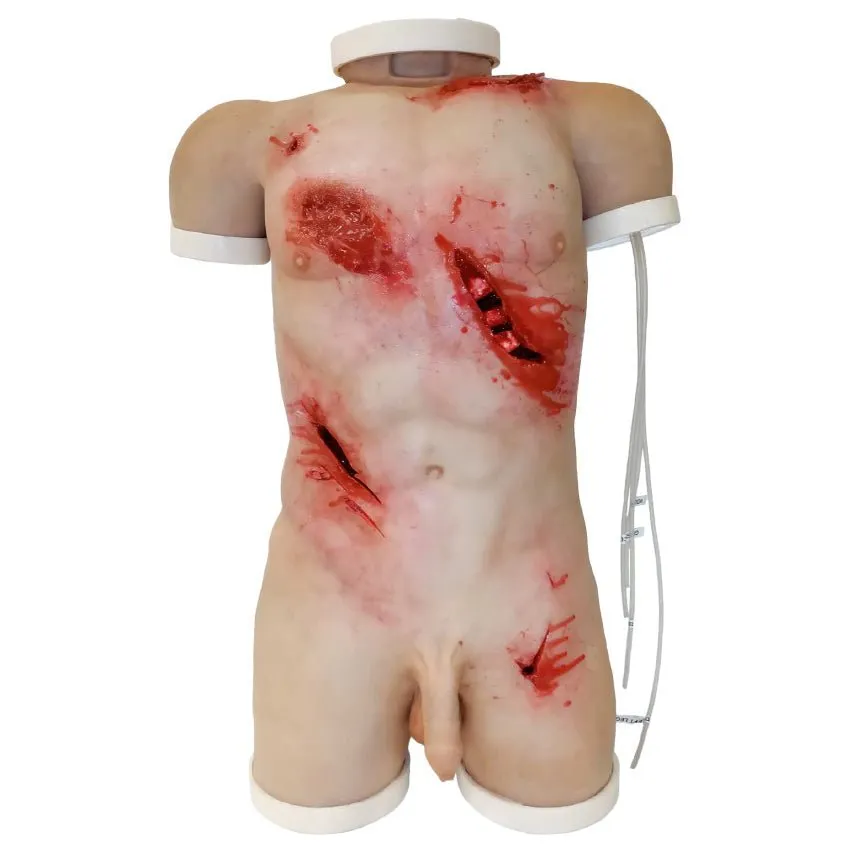 Trauma Torso Task Trainer