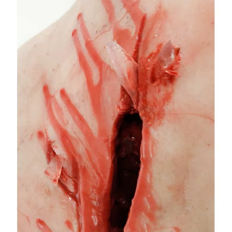 Trauma Torso Task Trainer