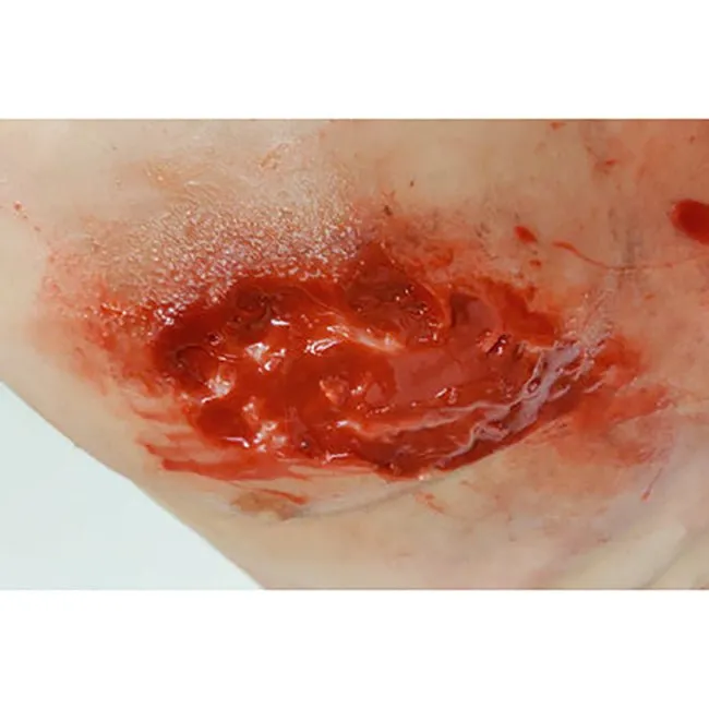 Trauma Torso Task Trainer