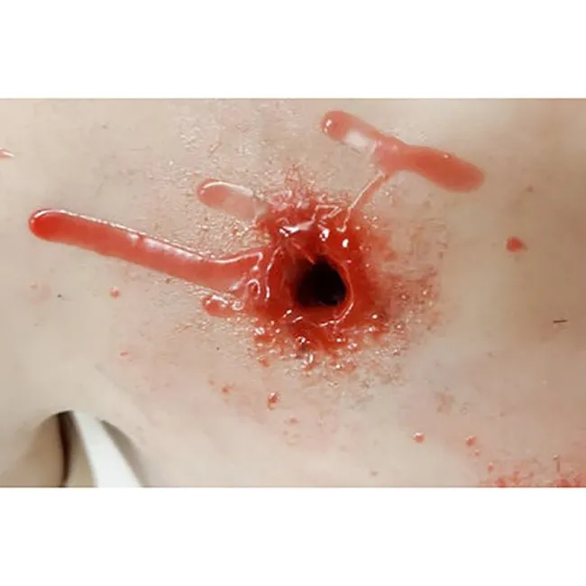Trauma Torso Task Trainer