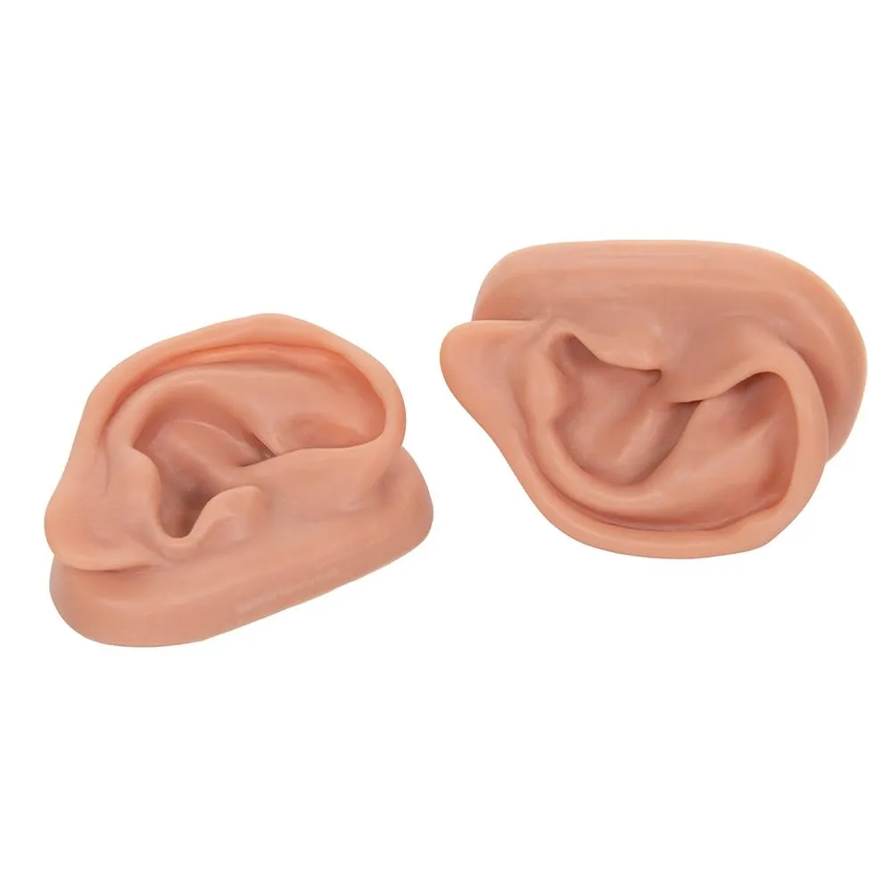 Two Acupuncture Ear Models