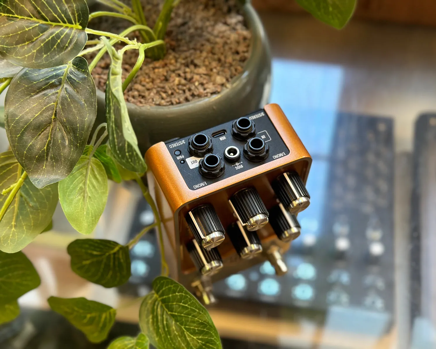 Universal Audio Woodrow ’55