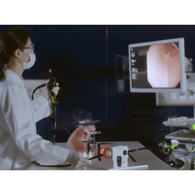 Upper Gastrointestinal Endoscopy Simulator, Basic