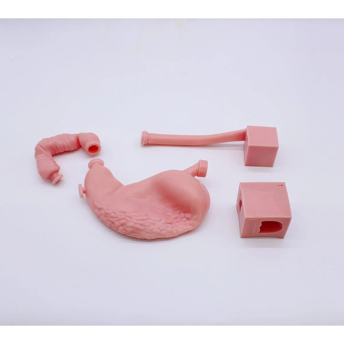 Upper Gastrointestinal Endoscopy Simulator, Basic
