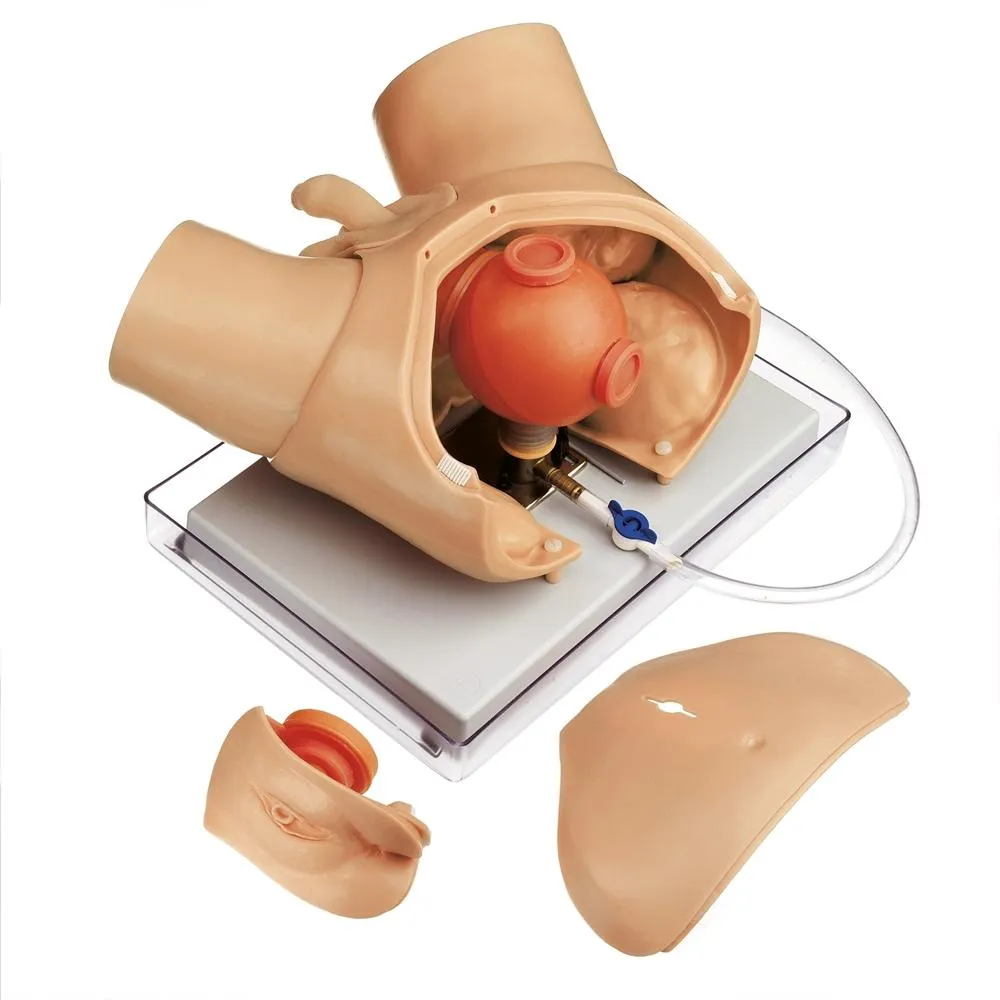 Urological Examination Phantom for Endoscopic Operations