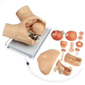 Urological Examination Phantom for Endoscopic Operations