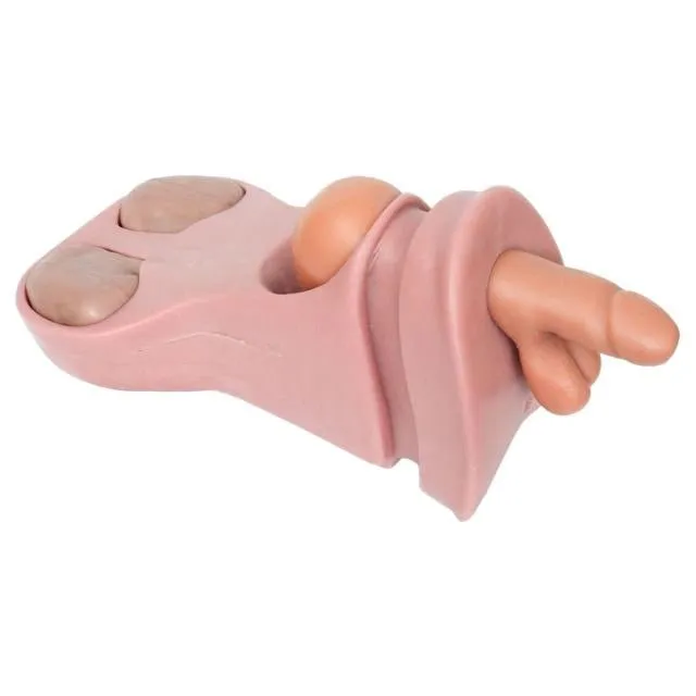 Urology Procedures Training Simulator