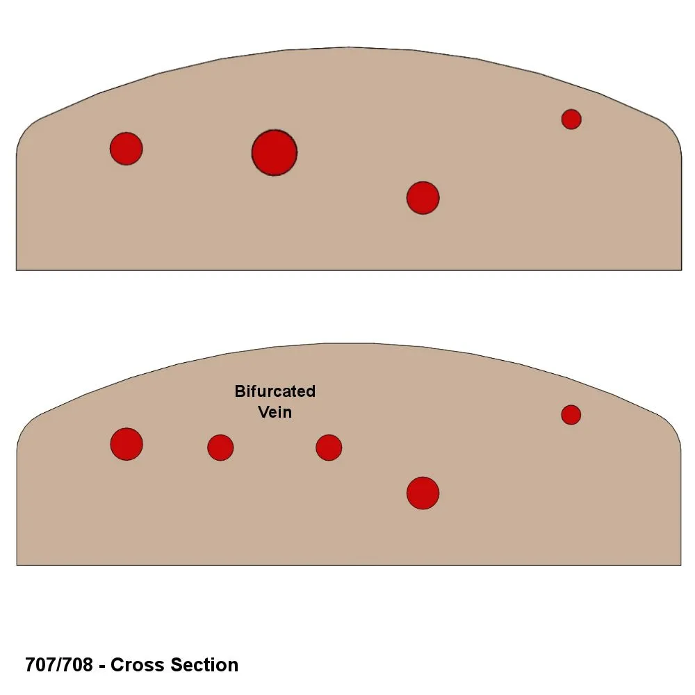 Vascular Access Ultrasound Phantom - 4-Vein Bifurcated With Deep Vein